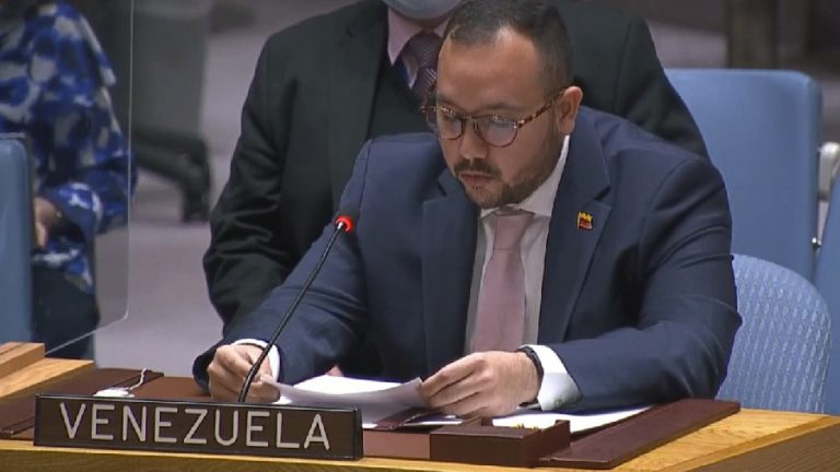 Venezuela aboga en la ONU por medidas urgentes para una paz justa en Palestina