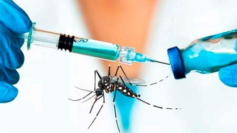 Venezuela celebra el Día Internacional contra el Dengue con llamado a la prevención colectiva