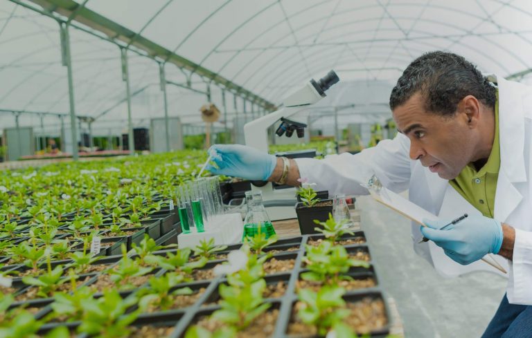 Avanzan estudios de ADN para fortalecer la seguridad agrícola