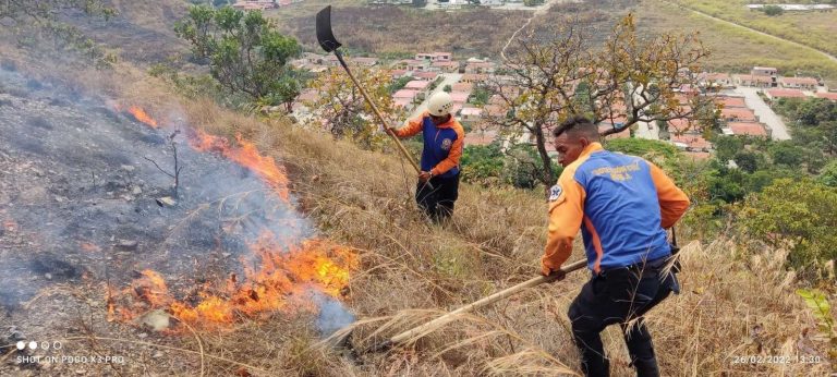 Controlan incendio en el Parque Nacional Henri Pittier en Aragua