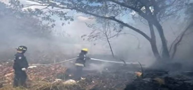 Bomberos extinguen incendio de vegetación en el sector Bajada de Tazón