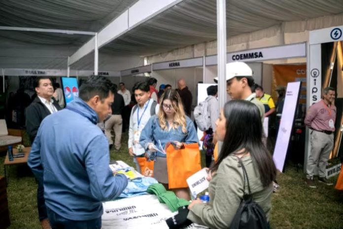 Expo construcción