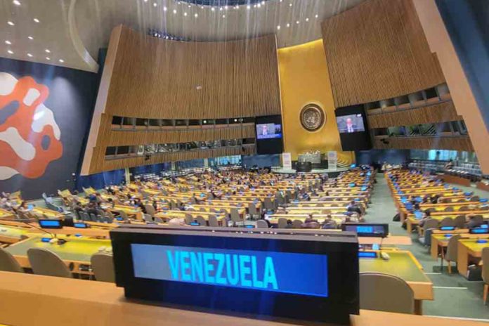 Venezuela aboga cooperación durante el 81.° período de la ONU
