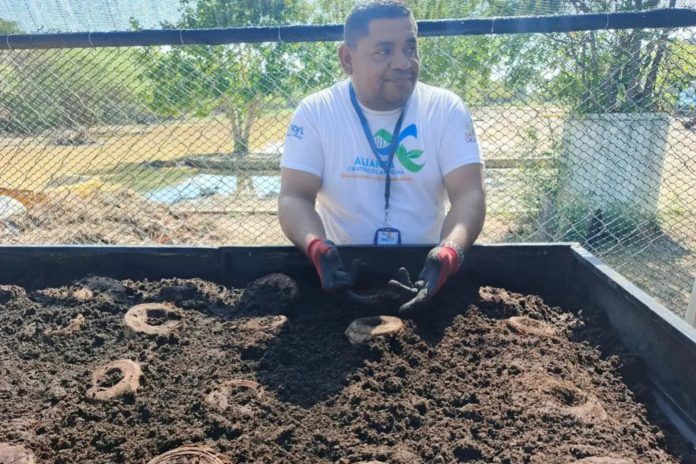 Fundación Inzit impulsa la soberanía alimentaria con producción científica de plátano en Zulia