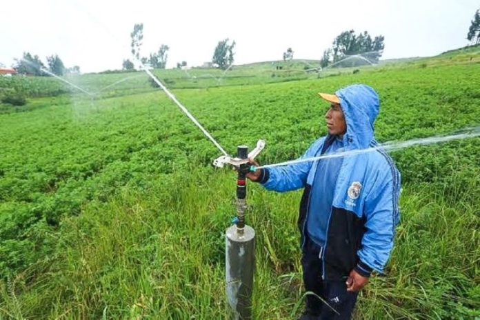 Perú pide aumentar inversión en sistemas de riego para producción de alimentos