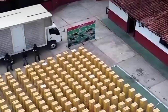 Incautan 15.000 kg de ajo chino en frontera del estado Táchira