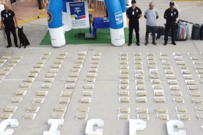 Desmantelan El Clan de Los Salas e incautan 274.8 kilos de marihuana en Falcón