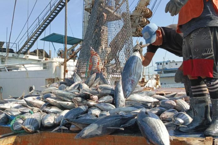 Venezuela presenta su oferta pesquera en la 27ª Feria Conxemar en España