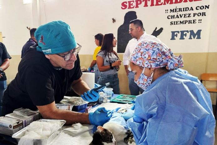 Misión Nevado-Mérida lleva a cabo esterilización de mascotas como parte de jornada internacional especial