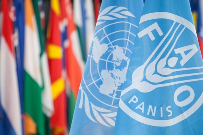 Venezuela reduce 5,3% en 3 años la subalimentación reseña informe ONU-FAO