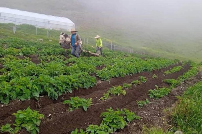 Venezuela urge a proteger los suelos y la biodiversidad agrícola globales
