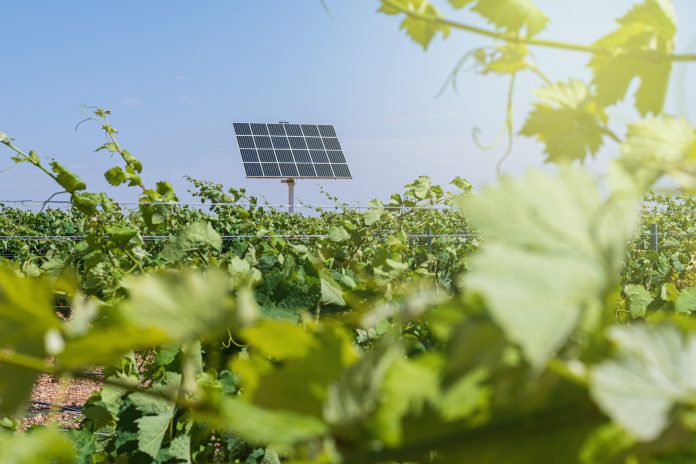 Rodríguez alertó sobre el impacto del deterioro ambiental en la producción global de alimentos y cuestionó la falta de sostenibilidad en las prácticas actuales