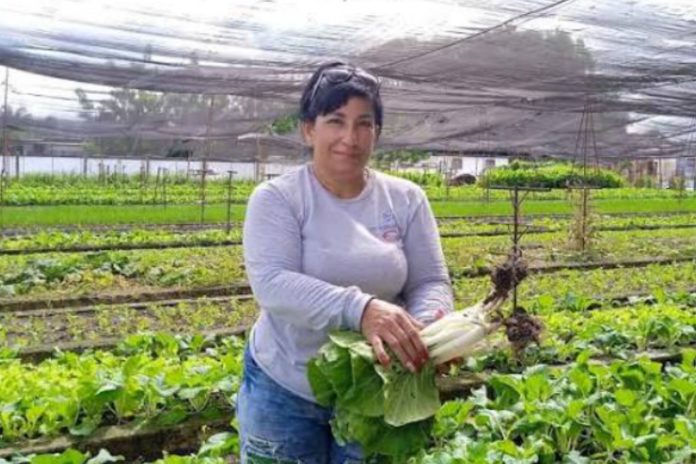 FAO reconoce a 100 mujeres por aporte a sistemas alimentarios