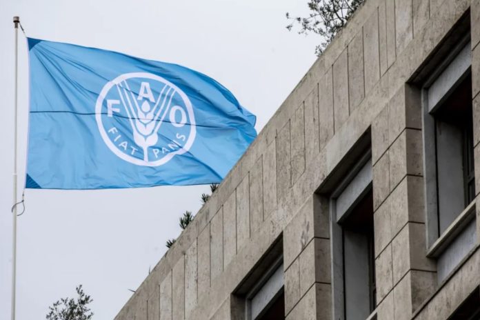 FAO advirtió que El Niño y la situación en Ormuz podría impactar en la seguridad alimentaria