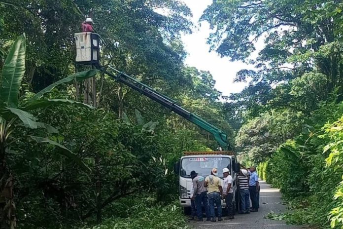 Despejados 32 kilómetros de tendido eléctrico en Barlovento